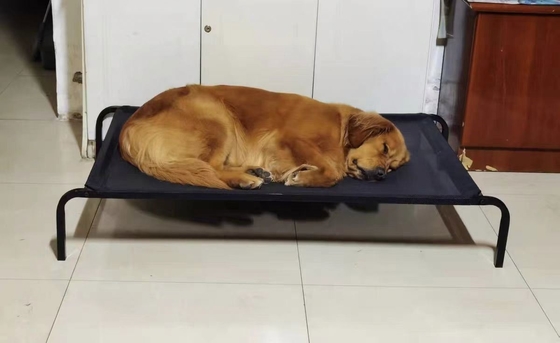 Cama para mascotas exterior recubierta por electroforesis con certificación ISO9001 y alta durabilidad