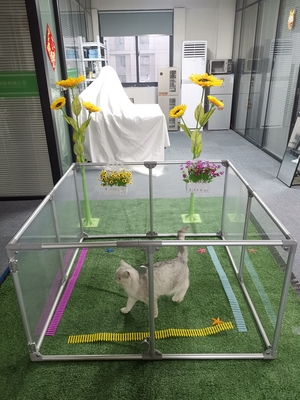 Jardín de seguridad acrílico desmontable para gatos y perros grandes