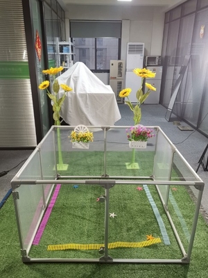 12 paneles de cerca visible para mascotas acrílico para perros Jardín de juegos para reptiles espesor personalizado 3 mm