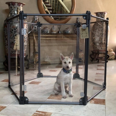Fabricación para el mercado de EE.UU. DIY transparente plegable de cercas para mascotas para animales pequeños