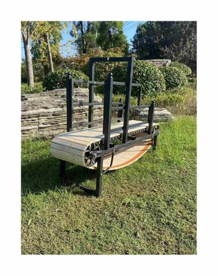 Otros Tipo de artículo Caminadora para perros para amigos de cuatro patas de diferentes tamaños