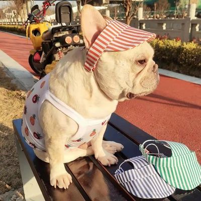 OEM ODM aceptable personalizado Moderno sombrero de mascota perro gorra de béisbol Estilo de moda