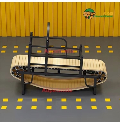 Tamaño personalizado Alipetsmile Pet Dog Caminadora Entrena a tu perro con facilidad y eficiencia