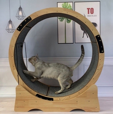 Cuadro de escalada para gatos de fibra de cartón cinta de rodadura para gatos ejercicio silencioso juguete para gatos