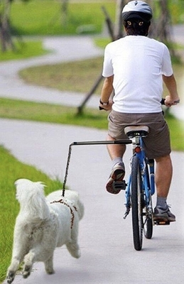 Mascota al aire libre Correr en bicicleta Cano de correa Manos libres Cano de bicicleta para perros negros