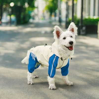 Ropa para mascotas abrigo de lluvia patrón animal impermeable tamaño pequeño para perros verano/primavera
