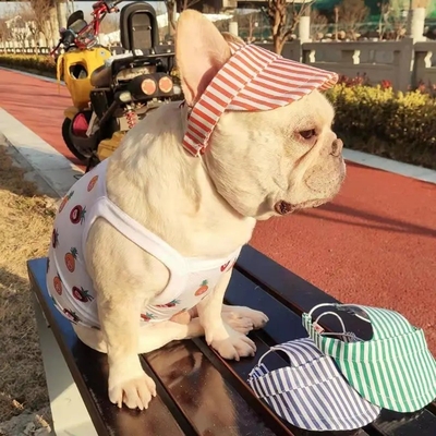 Sombrero para perros al aire libre con orificios para las orejas Mantenga su mascota fresca y protegida del sol