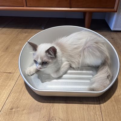 Cama de gato de refrigeración lavable a mano para el material de aluminio de verano y resistente a las mordeduras
