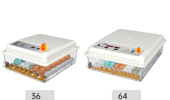 Incubadora para incubar huevos de gallina, pato, ganso y paloma en el puerto de Shanghai o Nanjing