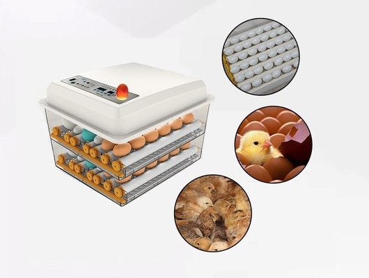 Incubadora para incubar huevos de gallina, pato, ganso y paloma en el puerto de Shanghai o Nanjing