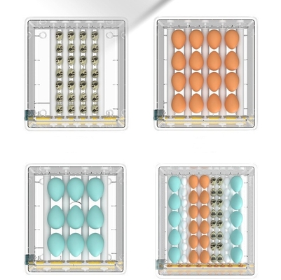 Máquina de incubadora automática de huevos para la eclosión de huevos de aves de corral en Shanghai o Nanjing