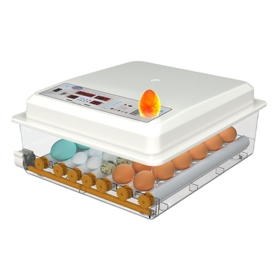20 GP Carga de 70 juegos de incubadora de huevos de gallina totalmente automática para la cría de aves de corral