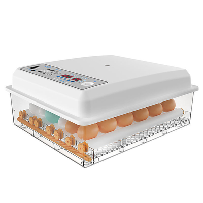 20 GP Carga de 70 juegos de incubadora de huevos de gallina totalmente automática para la cría de aves de corral