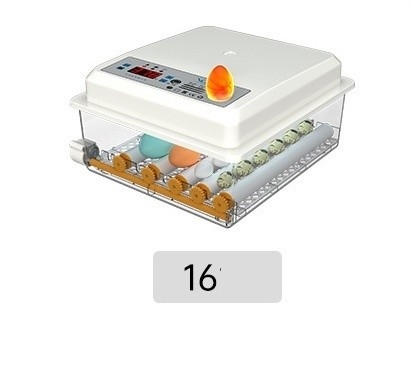 20 GP Carga de 70 juegos de incubadora de huevos de gallina totalmente automática para la cría de aves de corral