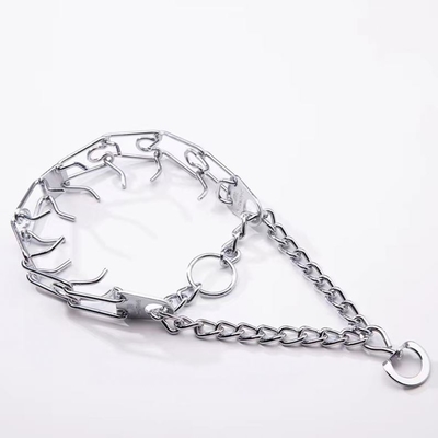 Cadena de cuello de perro de acero inoxidable de estilo moderno para capacitación profesional personalizada