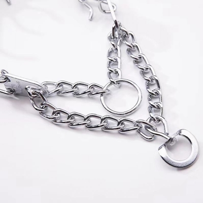 Cadena de cuello de perro de acero inoxidable de estilo moderno para capacitación profesional personalizada