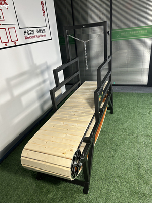 Caminadora para mascotas de tamaño personalizado ideal para el entrenamiento y el progreso del ejercicio de los perros
