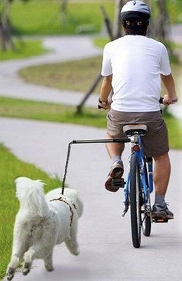Todas las bicicletas fáciles de instalar Bicicleta correa para perros Seguridad Correa para perros para bicicletas Adecuada para negros