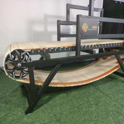 Máquina de ejercicios para perros de deportes de interior Caminadora personalizada para correr y deportes