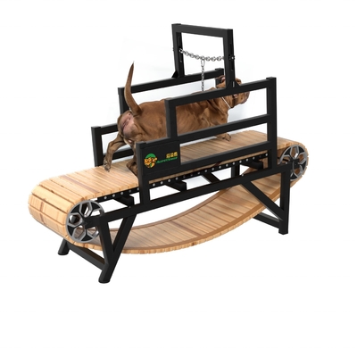 Alimentado Alipetsmile Perro Caminadora para Pit Bull Correr Otros productos para mascotas
