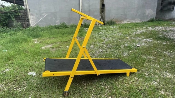 Equipo de entrenamiento de mascotas seguro y duradero Caminadora plegable para perros grandes acepta OEM ODM