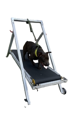 Molino de alfombras de perros de aluminio mediano y grande para correr y entrenar Opción OEM ODM aceptable