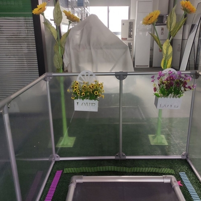 Recinto plegable para perros en interiores Recinto transparente acrílico portátil para mascotas con patrón animal