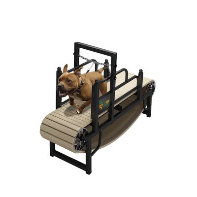 La cinta de entrenamiento para perros suave El compañero de entrenamiento definitivo para perros pequeños y medianos