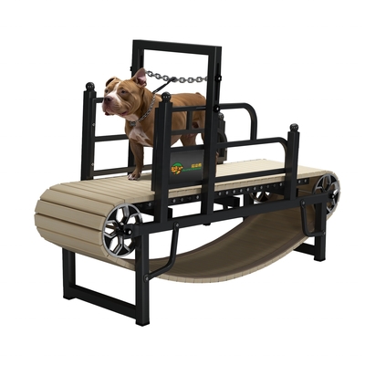 Máquina de correr para perros sin motor para el ejercicio sostenible