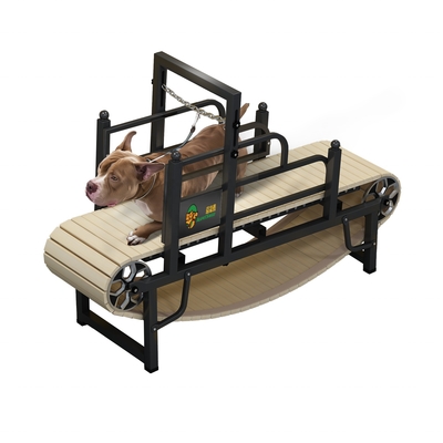 Máquina de correr para perros sin motor para el ejercicio sostenible