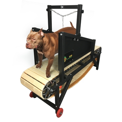 Maximice el rendimiento de su perro