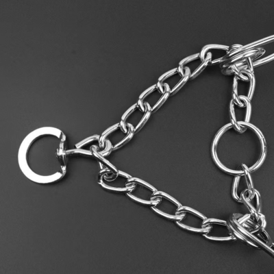 Tamaño del cliente Collar de entrenamiento para perros con entrenamiento personalizado