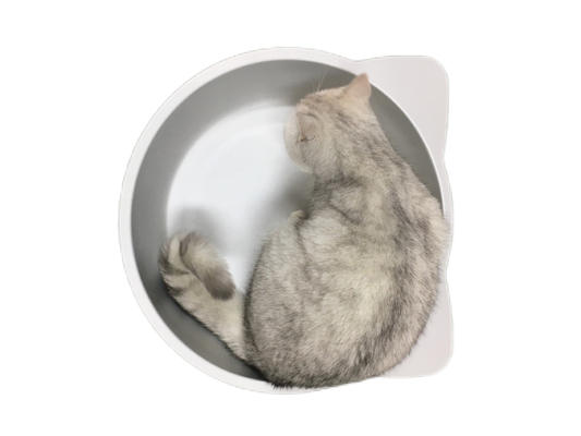 Material de aluminio en forma de cuenco de gato en forma de tazón redondo para su compañero peludo