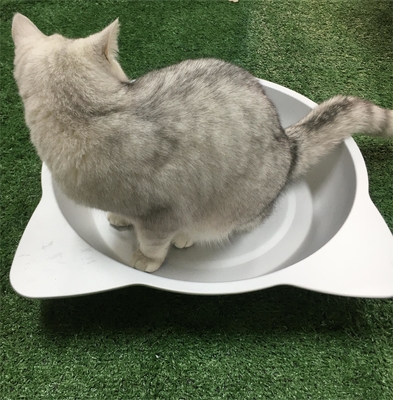 Material de aluminio en forma de cuenco de gato en forma de tazón redondo para su compañero peludo