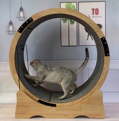 Divertida cinta de correr juguete para gatos Interactivo anti-depresión tabla de fibra mascota rueda de ejercicio
