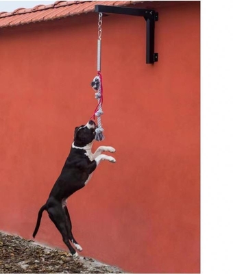 Muy recomendado 70cm*30cm palo de resorte para perros diseño sostenible