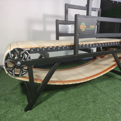 Máquina de correr para mascotas IRON Caminadora con material para entrenar y correr perros grandes