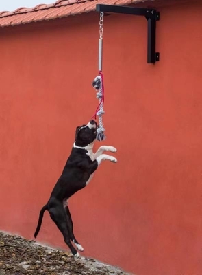 Polvo de resorte para perros de alta carga para el entrenamiento de embarque al puerto de Shanghai o Nanjing