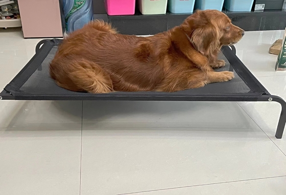 Cama para perros elevada recubierta de polvo con diseño transpirable y material impermeable