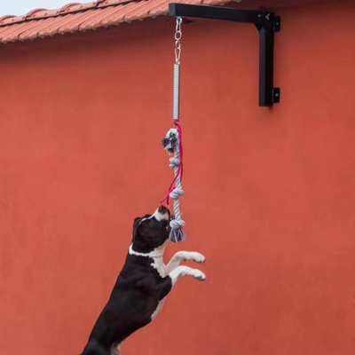 Conjunto de perros de resorte de acero Equipo de ejercicio fuerte y duradero para mascotas