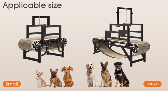 Haz que tu perro se mueva con nuestra cinta de acero inoxidable para mascotas sin necesidad de electricidad