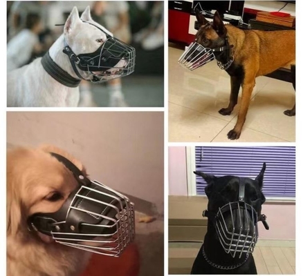 Entrenamiento de mascotas Esencial de metal sólido y cuero Muzón para perros con decoración colorida