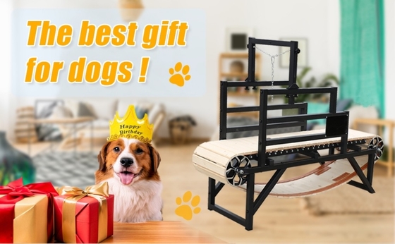 Alipetsmile Versión 2.0 Trampolín para perros de madera llevando la aptitud canina al siguiente nivel