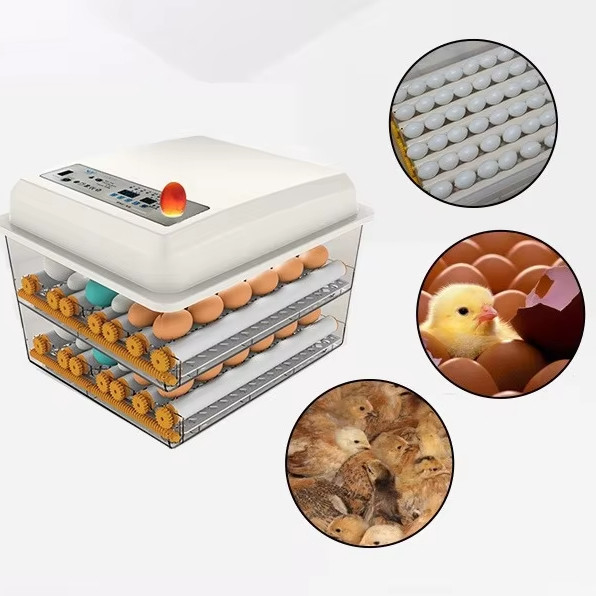 20 GP Carga de 70 juegos de incubadora de huevos de gallina totalmente automática para la cría de aves de corral