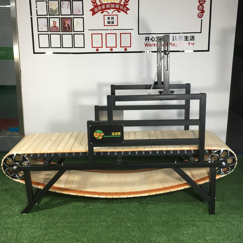 Caminadora para mascotas de tamaño personalizado ideal para el entrenamiento y el progreso del ejercicio de los perros