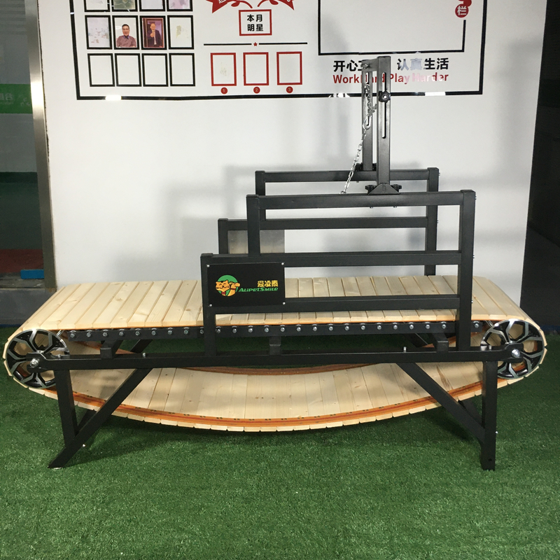 Actualización a una máquina de correr para perros de gran tamaño adecuada para el ejercicio en interiores 43kg Electrophoresis