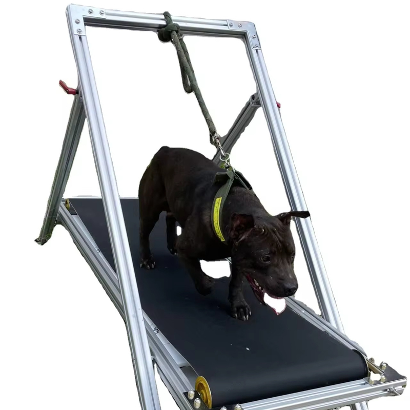 Ejercicio para perros Slatmill Mascotas Caminadora Caminante para Pit Bull Molino de alfombras con abastecimiento