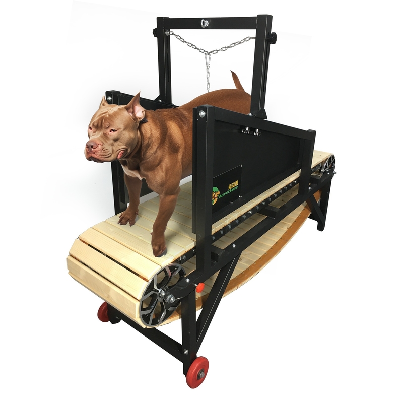 Maximice el rendimiento de su perro