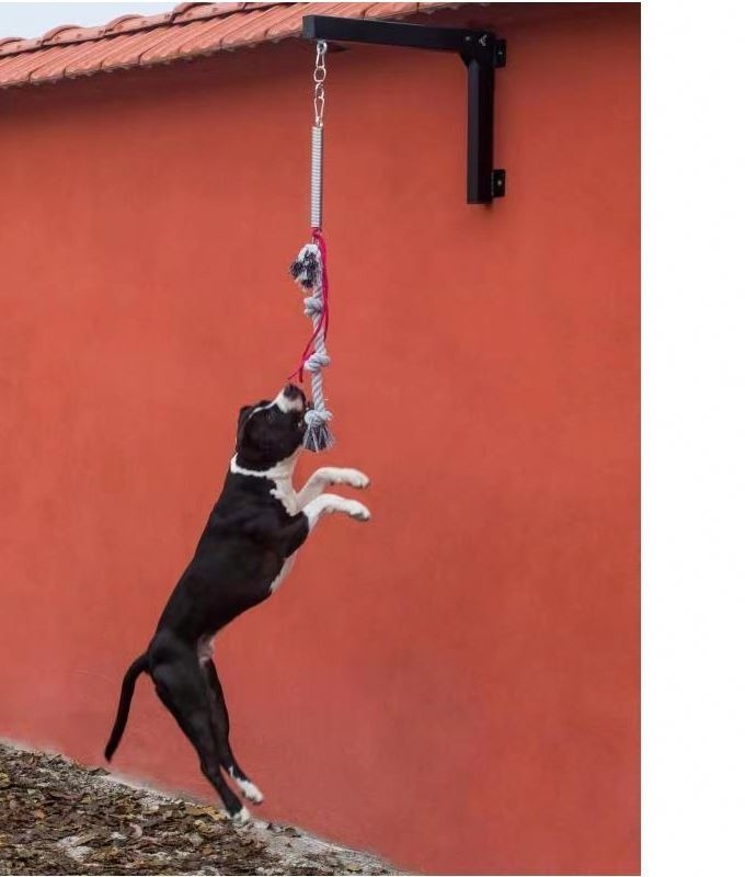Pitbulls Perros de apoyo de postes de resorte Tipo de artículo Otros con construcción resistente