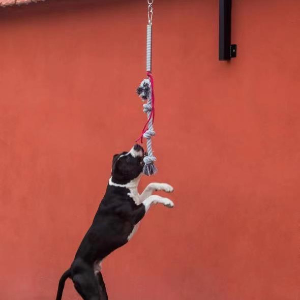 6063/6061/6005/6082/6060 Conjunto de palos de resorte para perros de aleación de uso pesado para perros con energía